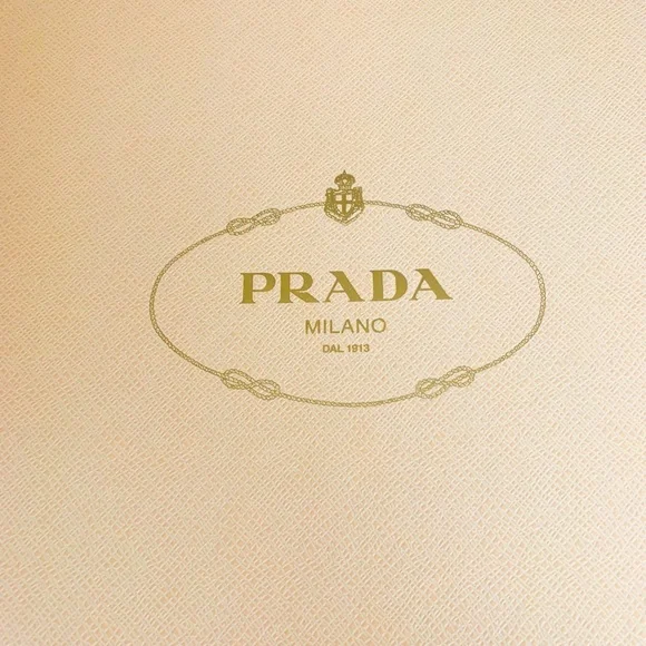 Prada Pumps - Picture 3 of 4